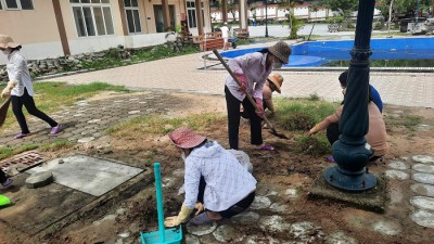 Hưởng ứng phong trào Ngày chủ nhật xanh
